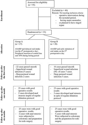 Delayed vs. early enteral feeding after repair of congenital recto-vestibular fistula: The effect on perineal wound healing